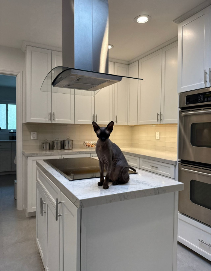 Loren Dr Kitchen 5